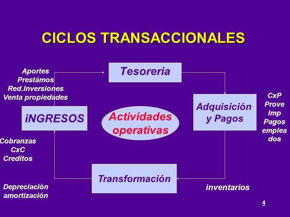 CICLOS TRANSACCIONALES
