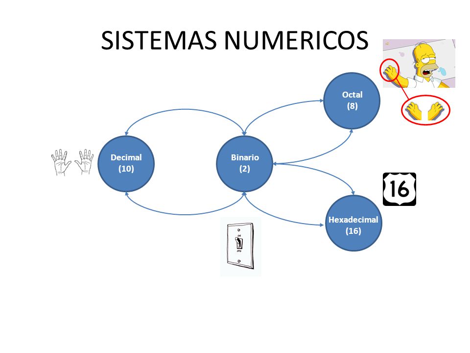 SISTEMAS NUMERICOS Octal (8) Decimal (10) Binario (2) Hexadecimal (16)