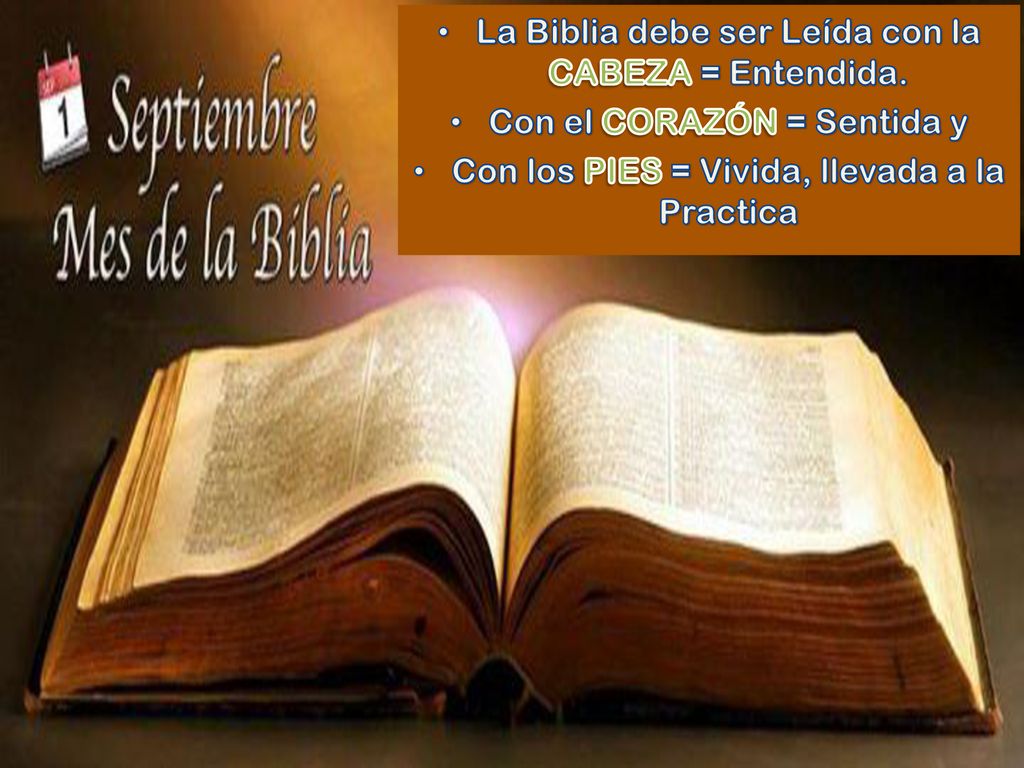 La Biblia debe ser Leída con la CABEZA = Entendida.