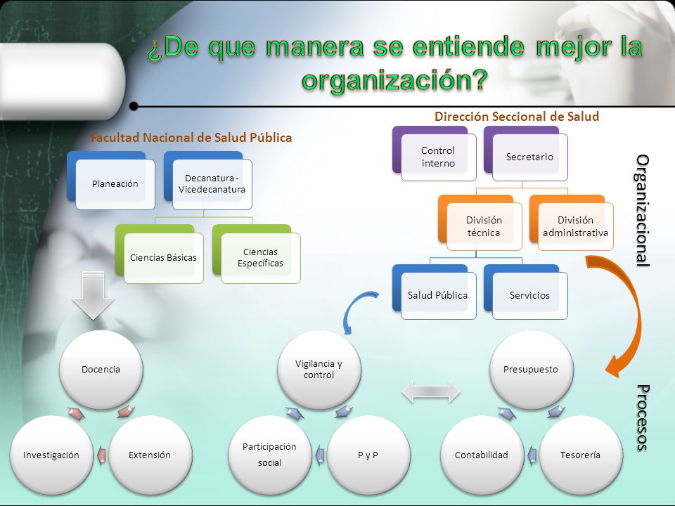 ¿De que manera se entiende mejor la organización