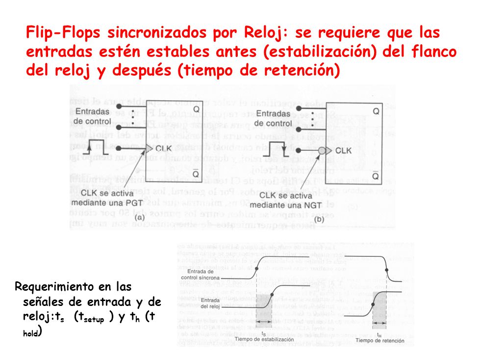Flip-Flops sincronizados por Reloj: se requiere que las entradas estén estables antes (estabilización) del flanco del reloj y después (tiempo de retención)
