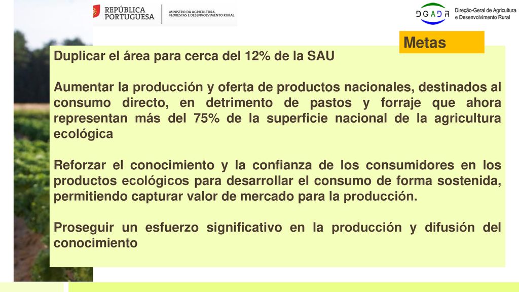 Metas Duplicar el área para cerca del 12% de la SAU