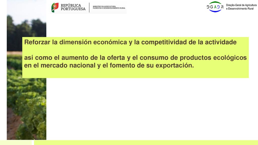 Reforzar la dimensión económica y la competitividad de la actividade