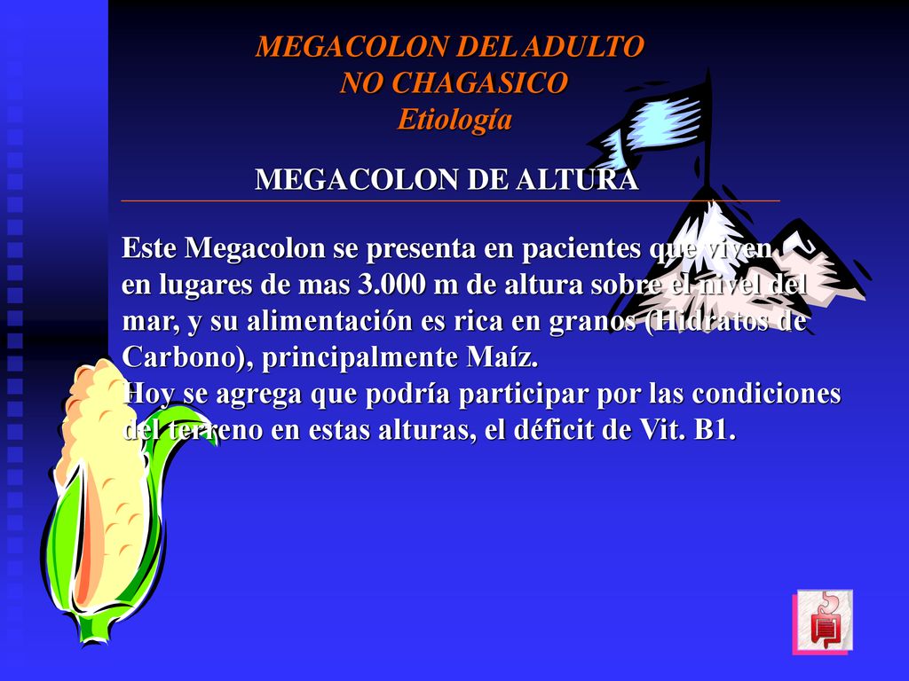 MEGACOLON DEL ADULTO NO CHAGASICO. Etiología. MEGACOLON DE ALTURA. Este Megacolon se presenta en pacientes que viven.