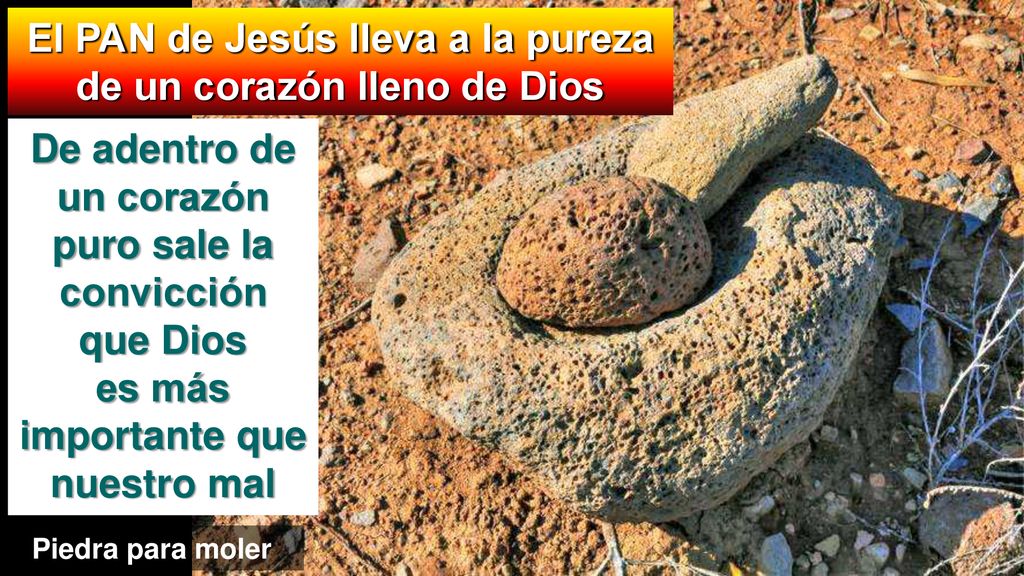 El PAN de Jesús lleva a la pureza de un corazón lleno de Dios