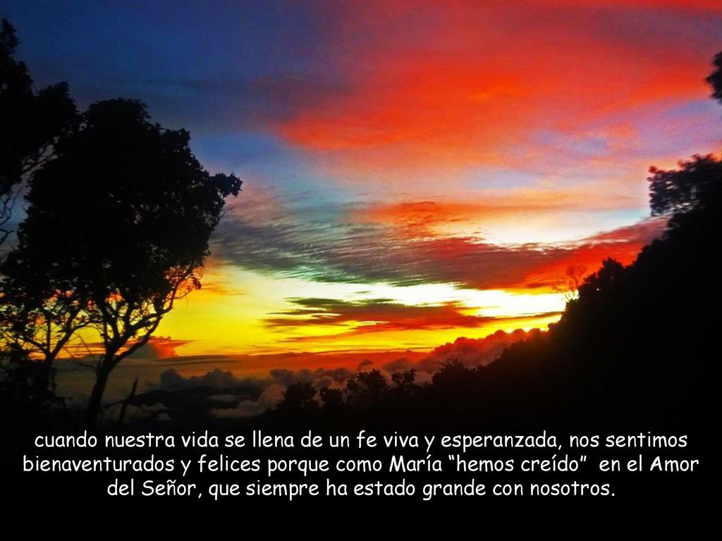 cuando nuestra vida se llena de un fe viva y esperanzada, nos sentimos bienaventurados y felices porque como María hemos creído en el Amor del Señor, que siempre ha estado grande con nosotros.