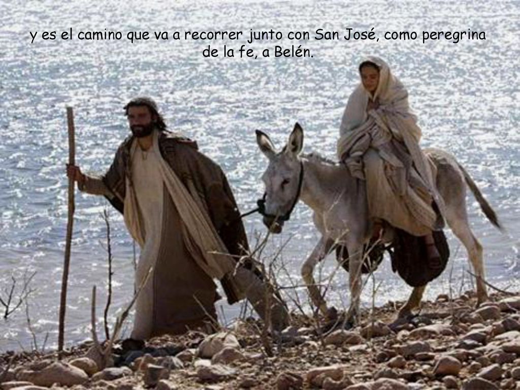 y es el camino que va a recorrer junto con San José, como peregrina de la fe, a Belén.
