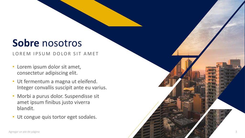 Sobre nosotros LOREM IPSUM DOLOR SIT AMET. Lorem ipsum dolor sit amet, consectetur adipiscing elit.