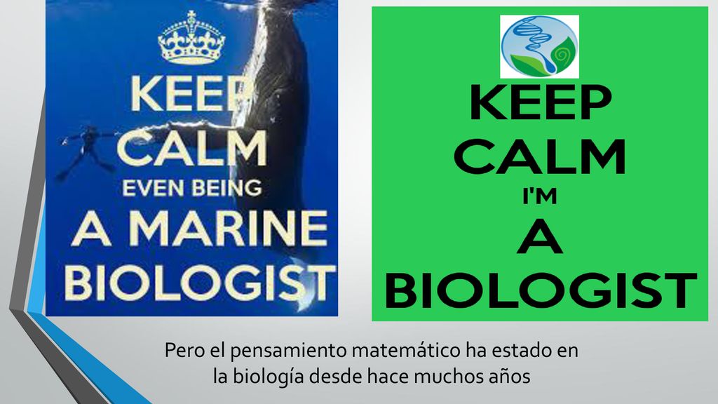 Pero el pensamiento matemático ha estado en la biología desde hace muchos años