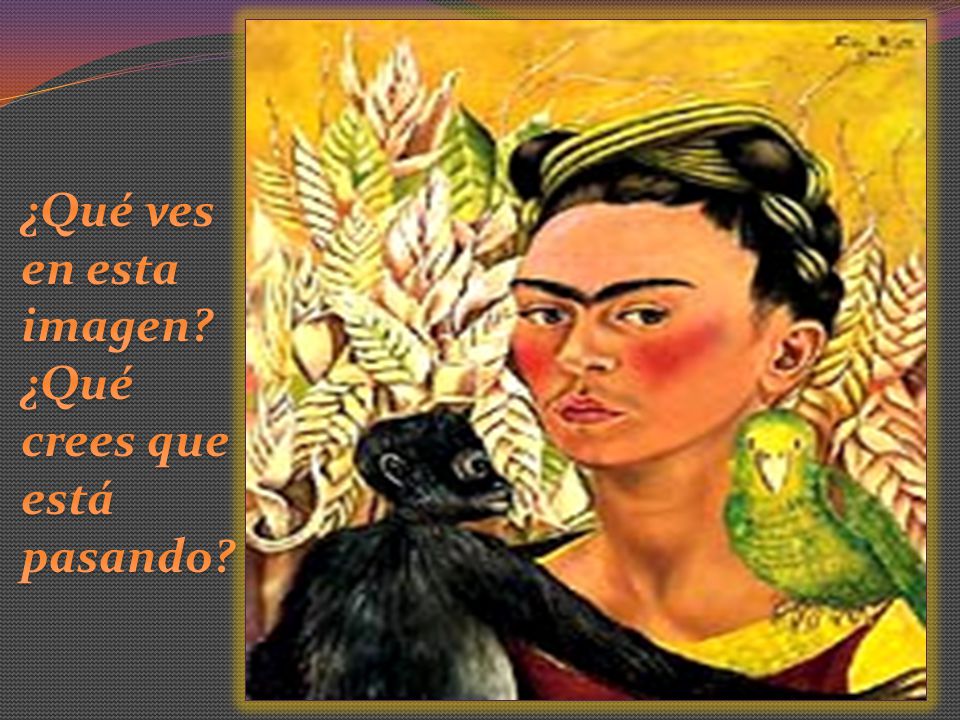 ¿Qué ves en esta imagen ¿Qué crees que está pasando