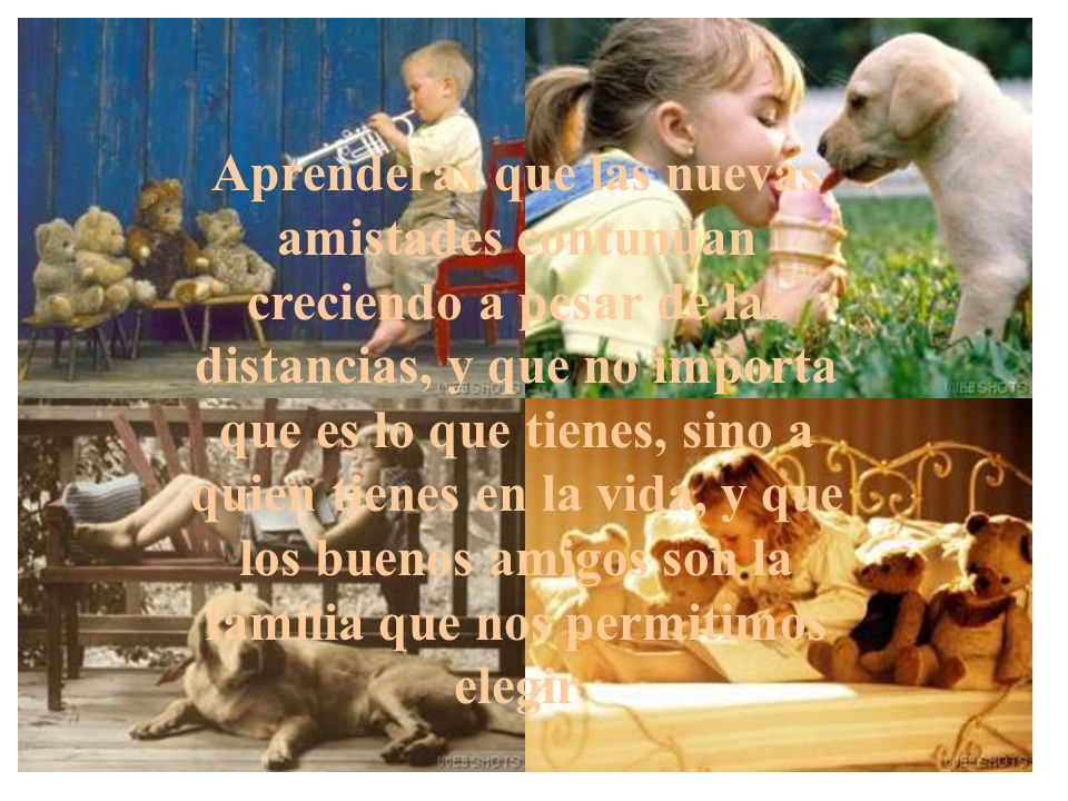 Aprenderás que las nuevas amistades contunúan creciendo a pesar de las distancias, y que no importa que es lo que tienes, sino a quien tienes en la vida, y que los buenos amigos son la familia que nos permitimos elegir