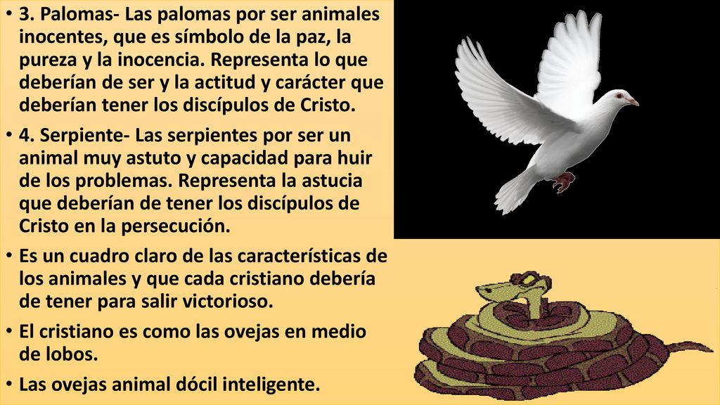 3. Palomas- Las palomas por ser animales inocentes, que es símbolo de la paz, la pureza y la inocencia. Representa lo que deberían de ser y la actitud y carácter que deberían tener los discípulos de Cristo.