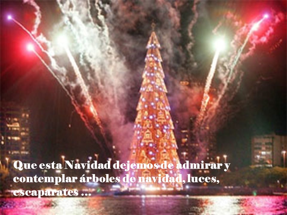 Que esta Navidad dejemos de admirar y contemplar árboles de navidad, luces, escaparates …
