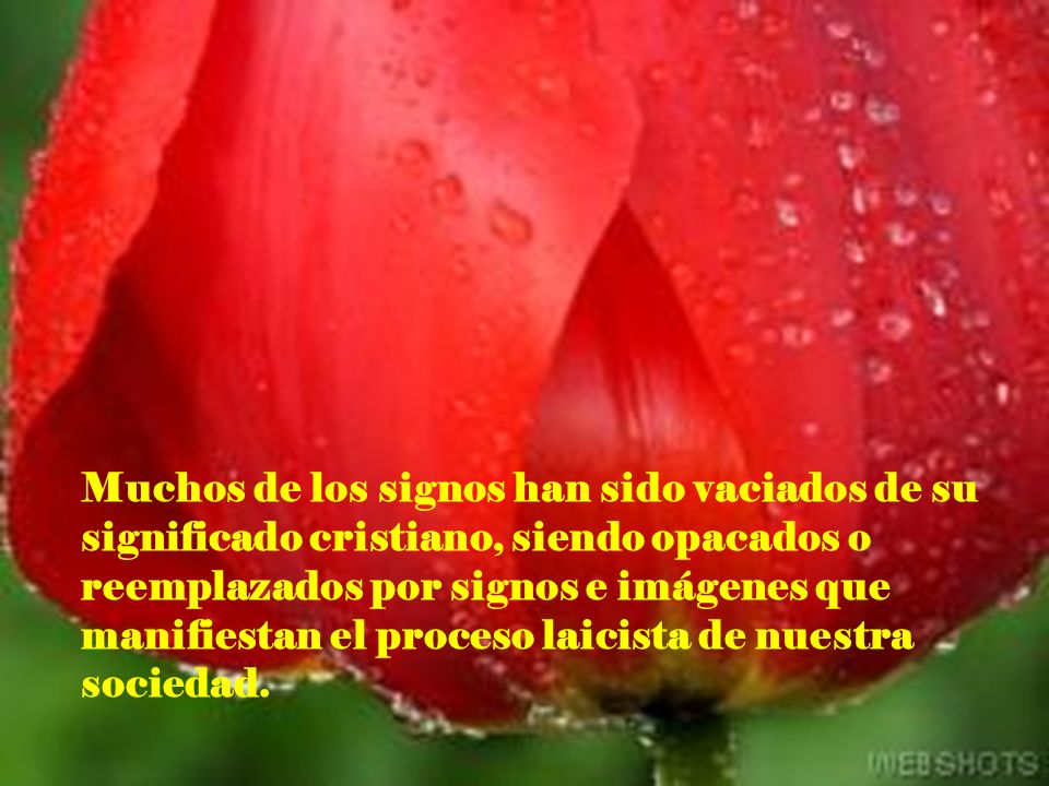 Muchos de los signos han sido vaciados de su significado cristiano, siendo opacados o reemplazados por signos e imágenes que manifiestan el proceso laicista de nuestra sociedad.