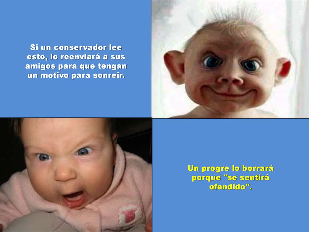 Un progre lo borrará porque se sentirá ofendido .