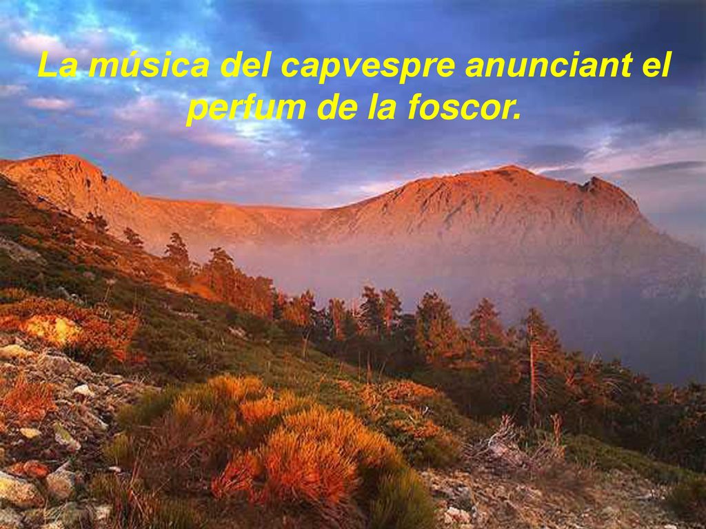 La música del capvespre anunciant el perfum de la foscor.