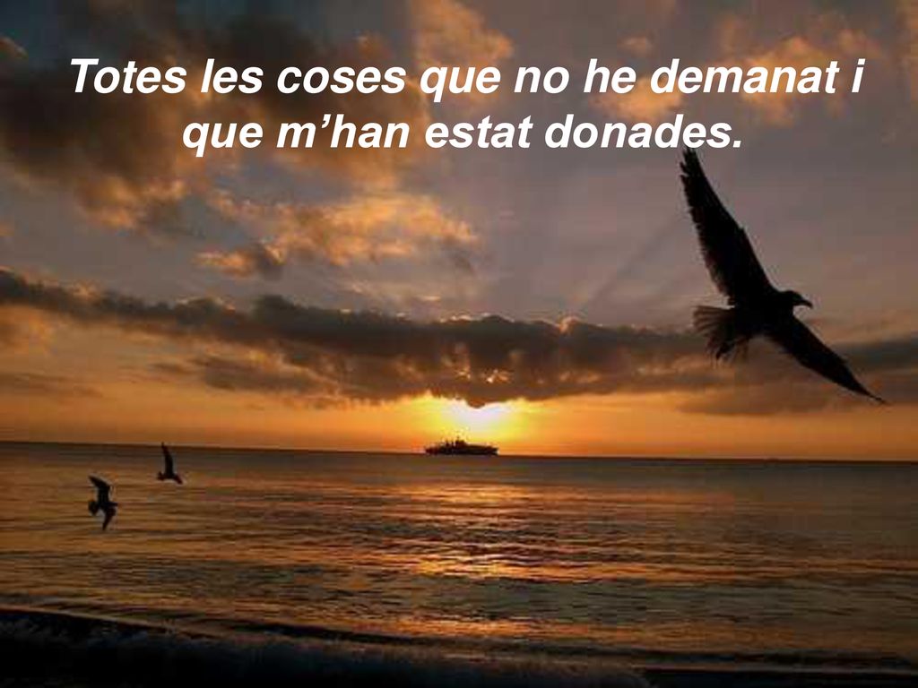 Totes les coses que no he demanat i que m’han estat donades.