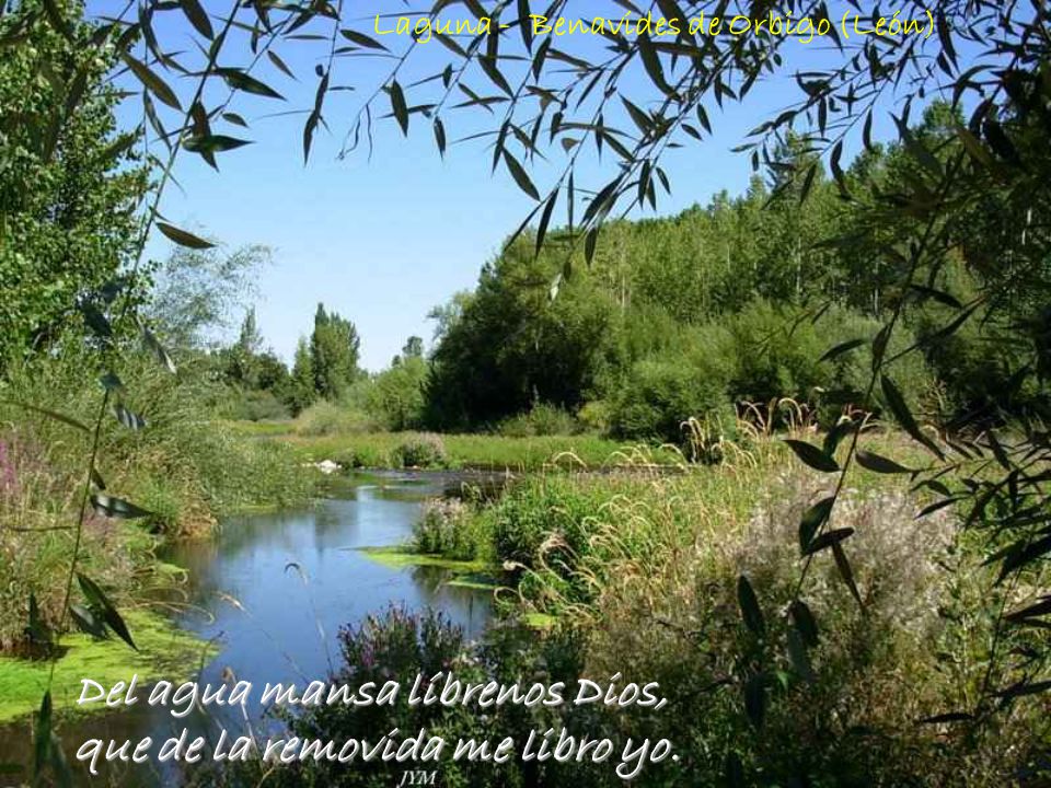 Del agua mansa líbrenos Dios, que de la removida me libro yo.