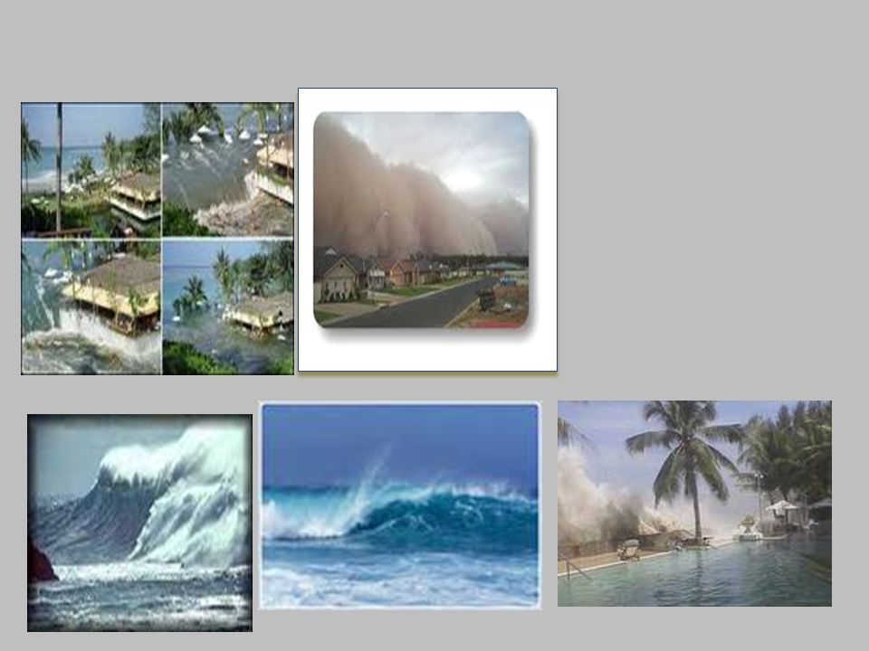 Galería de imágenes