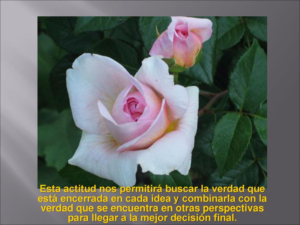 Esta actitud nos permitirá buscar la verdad que está encerrada en cada idea y combinarla con la verdad que se encuentra en otras perspectivas para llegar a la mejor decisión final.