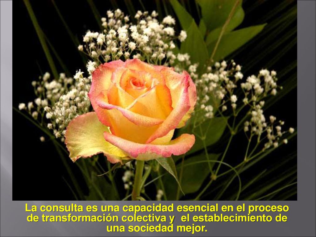 La consulta es una capacidad esencial en el proceso de transformación colectiva y el establecimiento de una sociedad mejor.