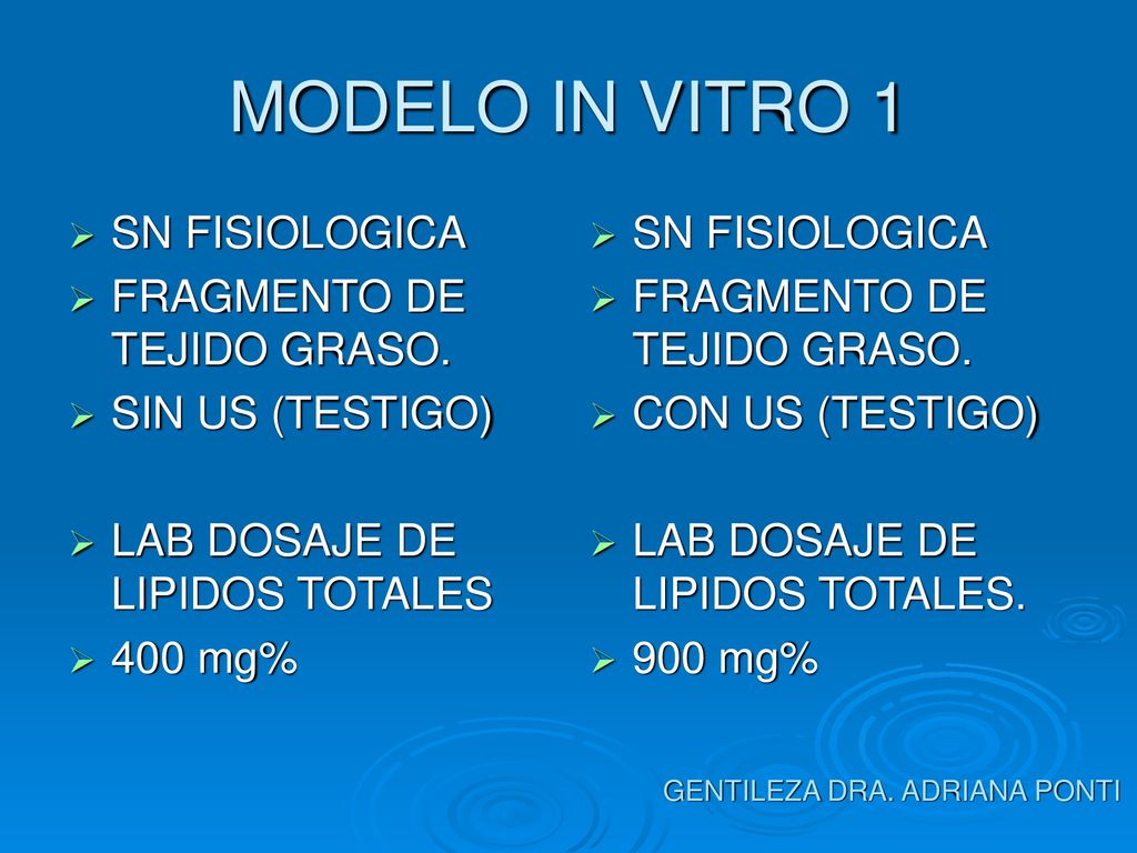 MODELO IN VITRO 1 SN FISIOLOGICA FRAGMENTO DE TEJIDO GRASO.