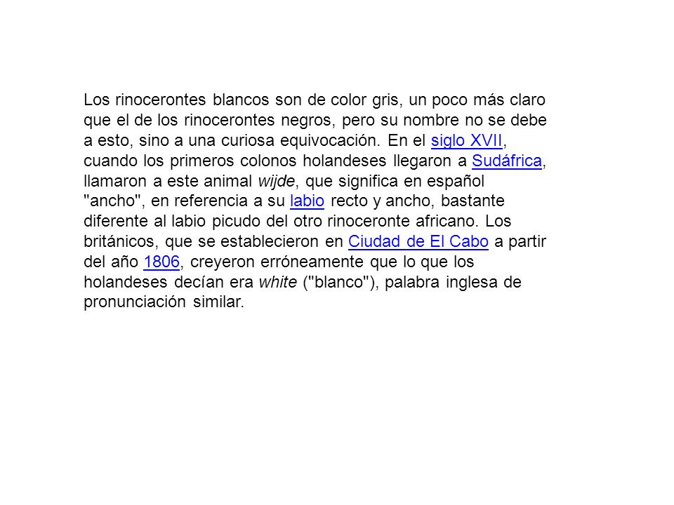 Los rinocerontes blancos son de color gris, un poco más claro que el de los rinocerontes negros, pero su nombre no se debe a esto, sino a una curiosa equivocación.
