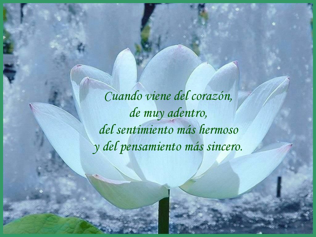 Cuando viene del corazón, de muy adentro, del sentimiento más hermoso