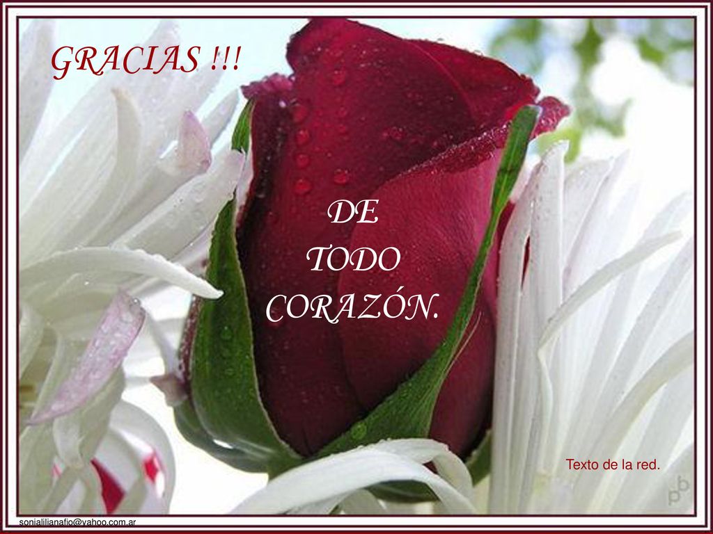 GRACIAS !!! DE TODO CORAZÓN. Texto de la red.