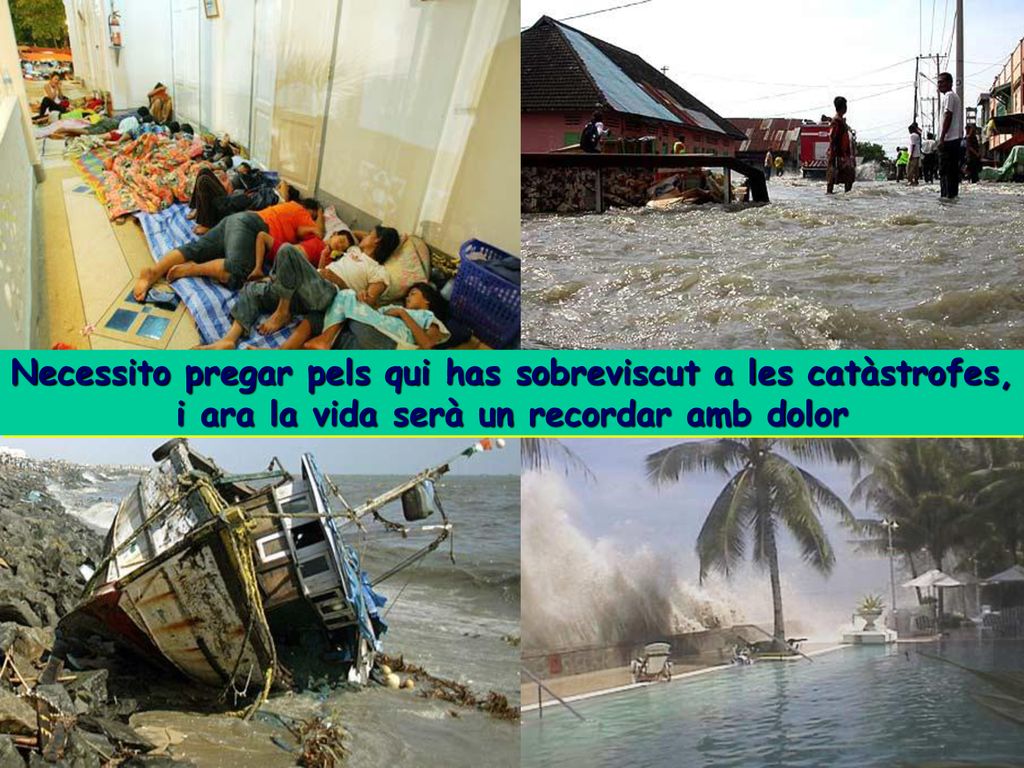 Necessito pregar pels qui has sobreviscut a les catàstrofes, i ara la vida serà un recordar amb dolor
