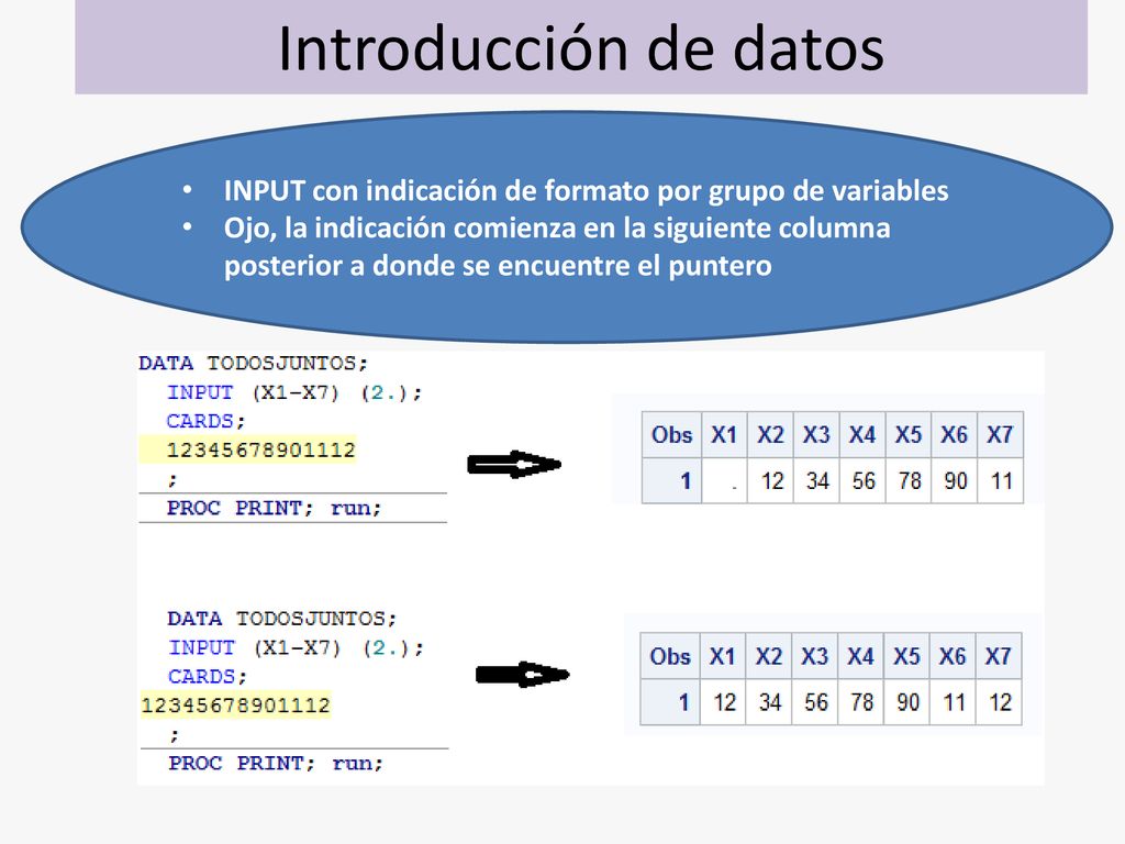 Introducción de datos INPUT con indicación de formato por grupo de variables.