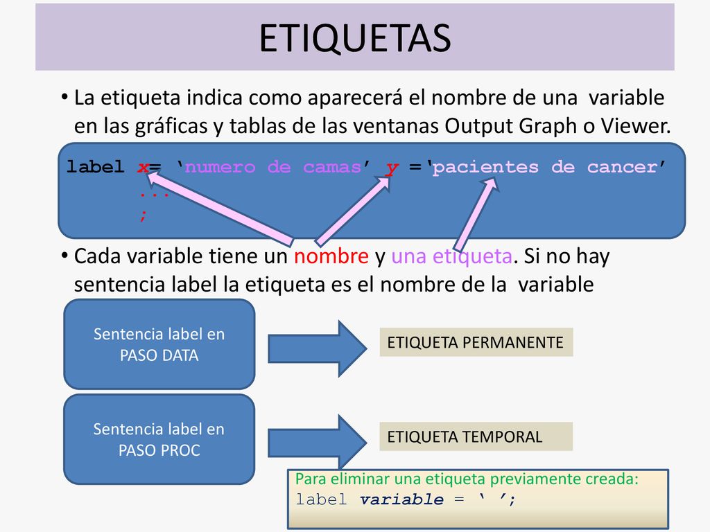 ETIQUETAS La etiqueta indica como aparecerá el nombre de una variable en las gráficas y tablas de las ventanas Output Graph o Viewer.