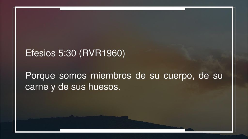 Efesios 5:30 (RVR1960) Porque somos miembros de su cuerpo, de su carne y de sus huesos.
