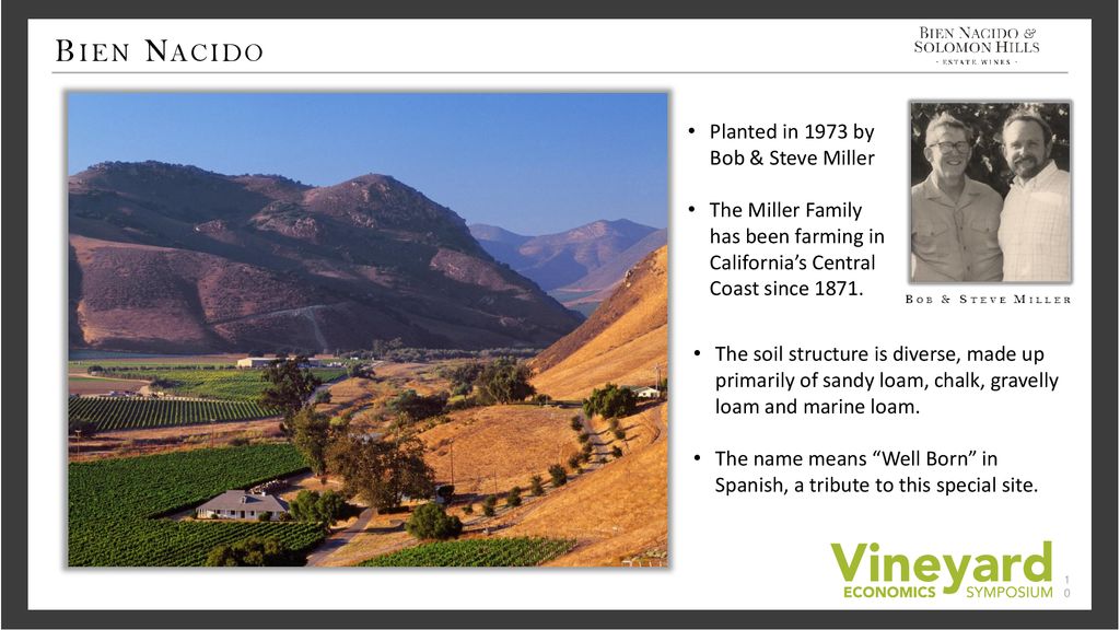 Bien Nacido Planted in 1973 by Bob & Steve Miller