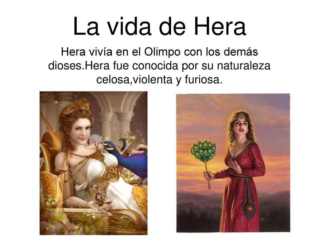 La vida de Hera Hera vivía en el Olimpo con los demás dioses.Hera fue conocida por su naturaleza celosa,violenta y furiosa.