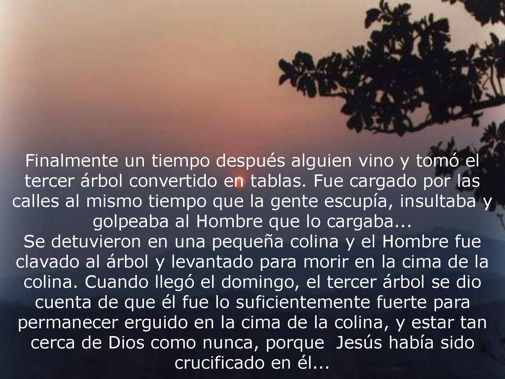 Finalmente un tiempo después alguien vino y tomó el tercer árbol convertido en tablas. Fue cargado por las calles al mismo tiempo que la gente escupía, insultaba y golpeaba al Hombre que lo cargaba...