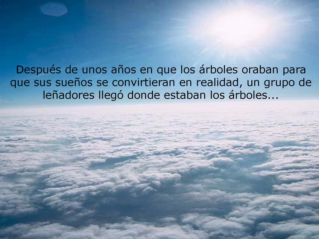 Después de unos años en que los árboles oraban para que sus sueños se convirtieran en realidad, un grupo de leñadores llegó donde estaban los árboles...