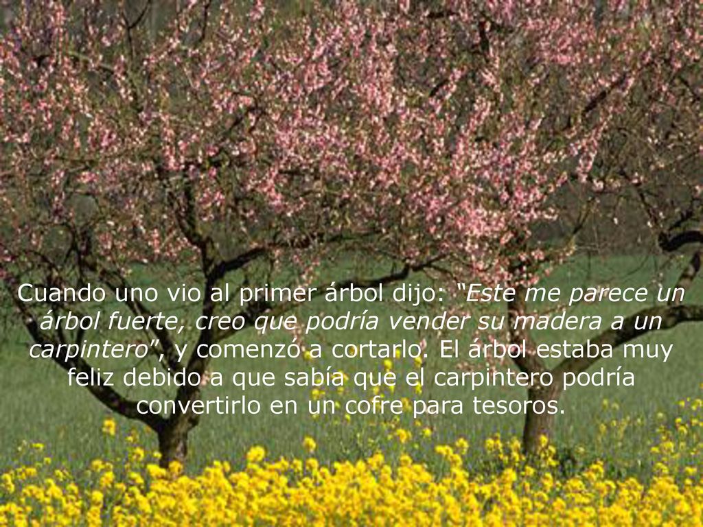 Cuando uno vio al primer árbol dijo: Este me parece un árbol fuerte, creo que podría vender su madera a un carpintero , y comenzó a cortarlo.
