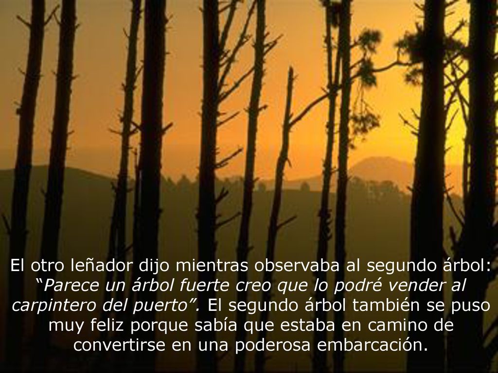 El otro leñador dijo mientras observaba al segundo árbol: Parece un árbol fuerte creo que lo podré vender al carpintero del puerto .