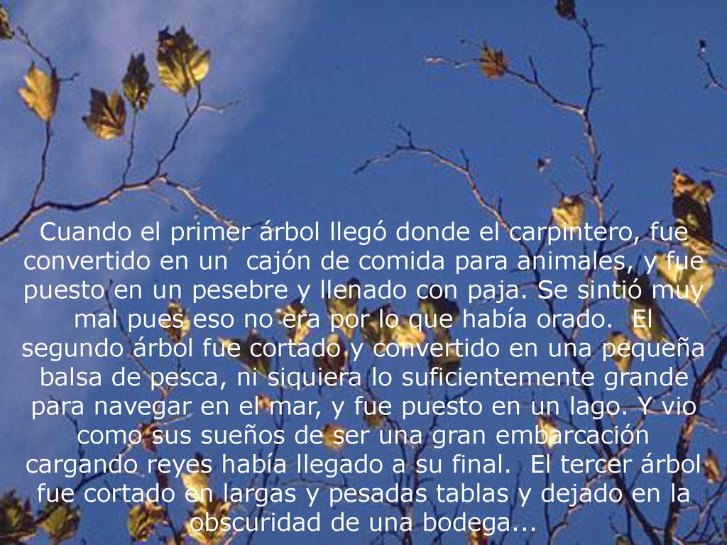 Cuando el primer árbol llegó donde el carpintero, fue convertido en un cajón de comida para animales, y fue puesto en un pesebre y llenado con paja.