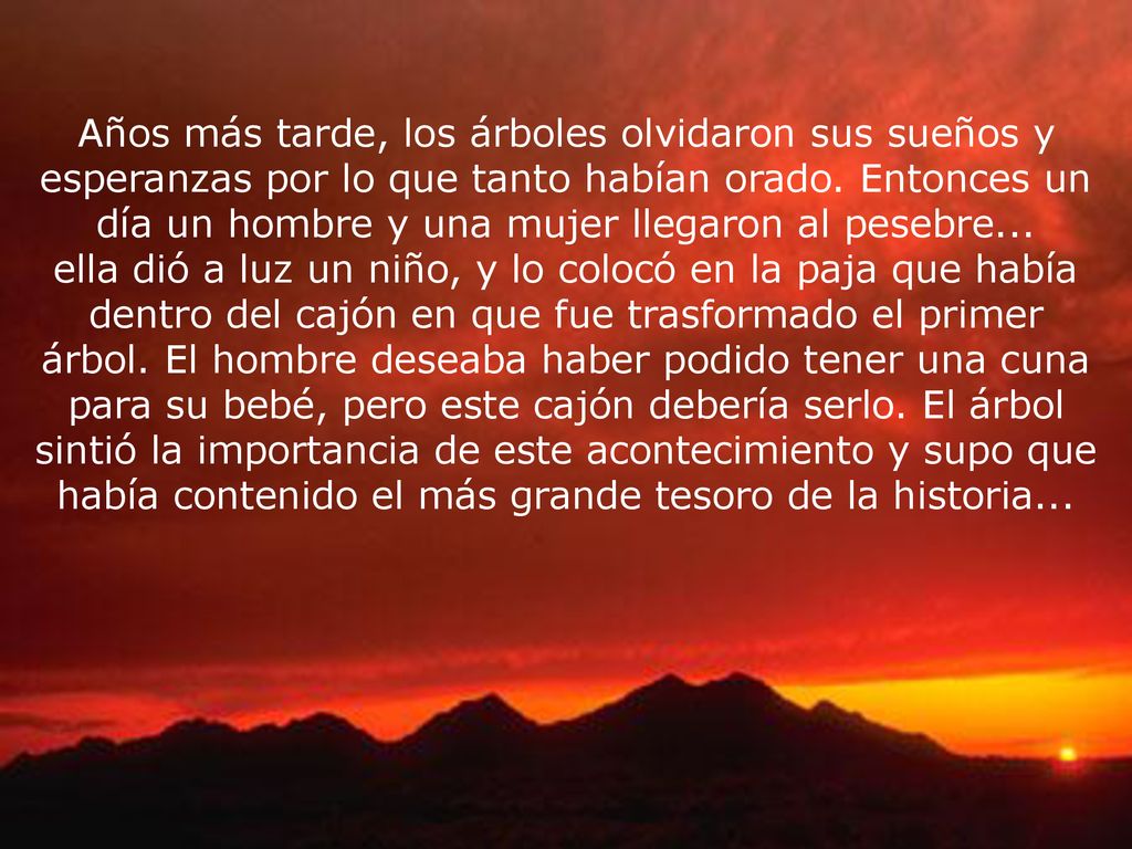 Años más tarde, los árboles olvidaron sus sueños y esperanzas por lo que tanto habían orado. Entonces un día un hombre y una mujer llegaron al pesebre...