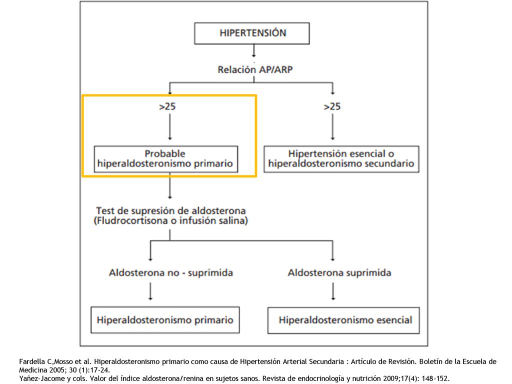 Fardella C,Mosso et al. Hiperaldosteronismo primario como causa de Hipertensión Arterial Secundaria : Artículo de Revisión. Boletín de la Escuela de Medicina 2005; 30 (1):17-24.