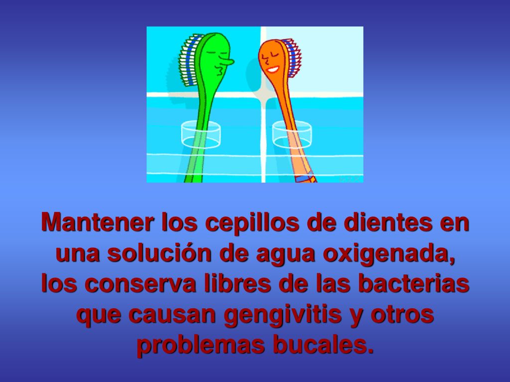 Mantener los cepillos de dientes en una solución de agua oxigenada, los conserva libres de las bacterias que causan gengivitis y otros problemas bucales.