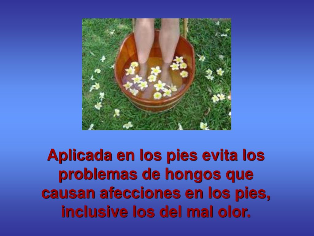 Aplicada en los pies evita los problemas de hongos que causan afecciones en los pies, inclusive los del mal olor.