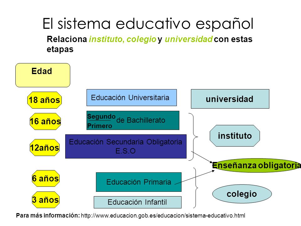 El sistema educativo español