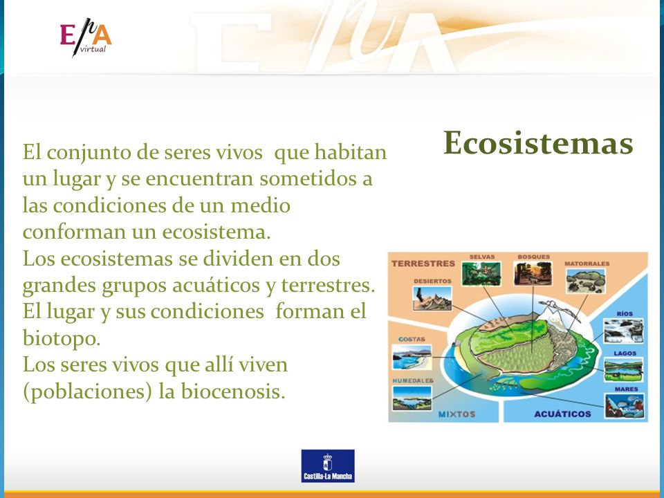Ecosistemas El conjunto de seres vivos que habitan un lugar y se encuentran sometidos a las condiciones de un medio conforman un ecosistema.