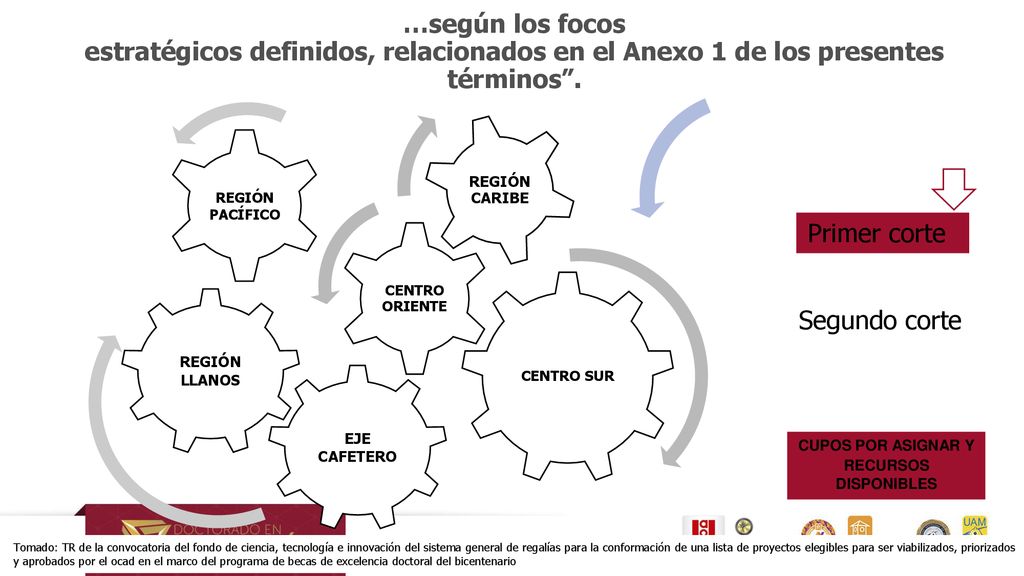 …según los focos estratégicos definidos, relacionados en el Anexo 1 de los presentes términos .