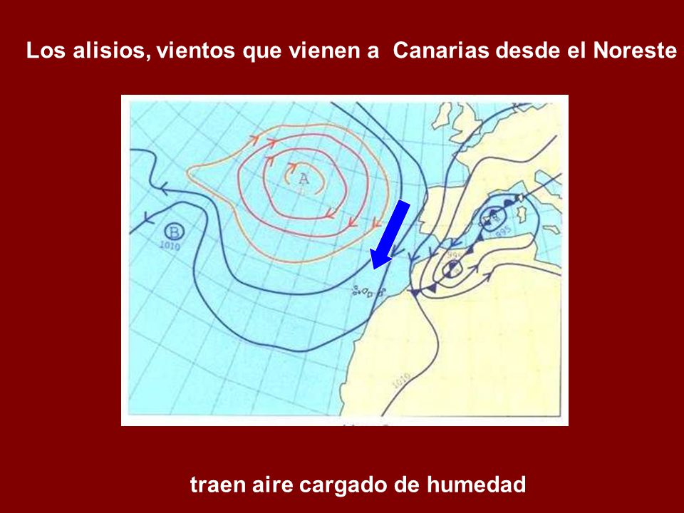 Los alisios, vientos que vienen a Canarias desde el Noreste