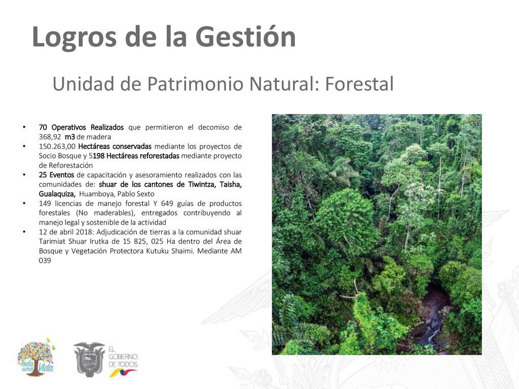 Logros de la Gestión Unidad de Patrimonio Natural: Forestal