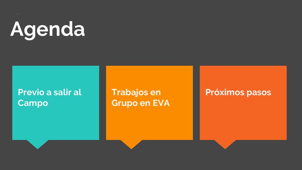 Agenda Previo a salir al Campo Trabajos en Grupo en EVA Próximos pasos